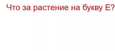 ЧтЈ4-,4`4,4`t`-t/t.4-H4/t,4,t`.,`4%