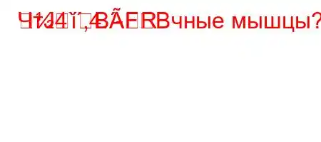 ЧтЈ4`,4.-RBFBчные мышцы?