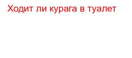 Ходит ли курага в туалет