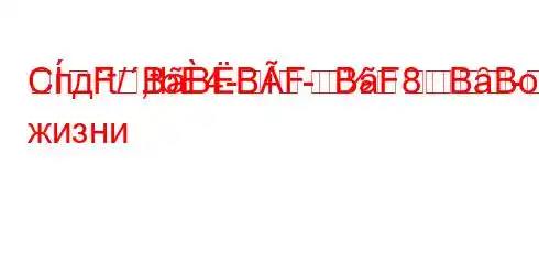 Спд`t/,tb4---FBBBFBF8BȃBовседневной жизни